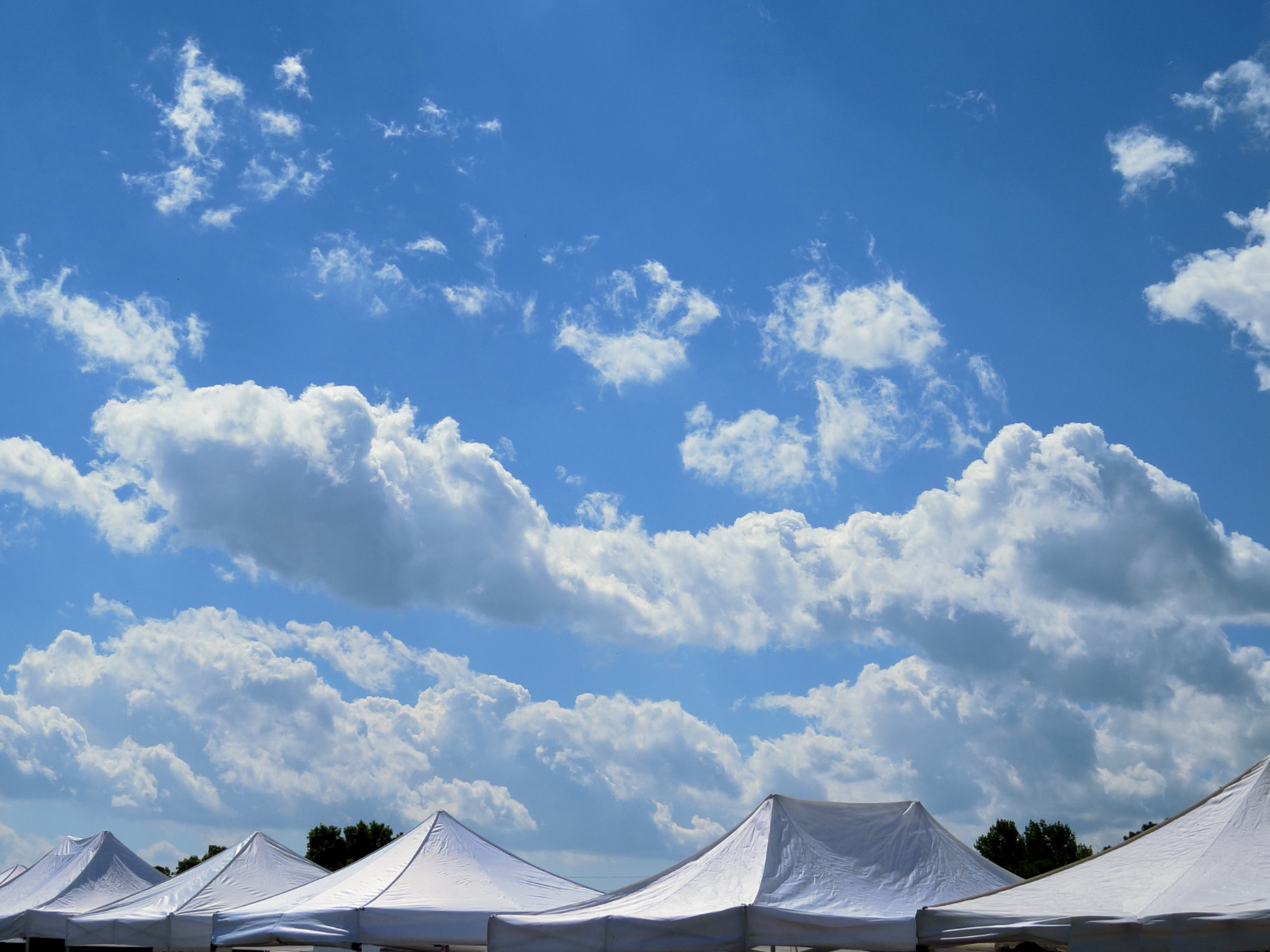 Carpas evento corporativo
